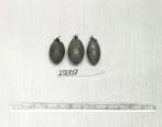 Click for 1 image(s) for this accession. FRUIT